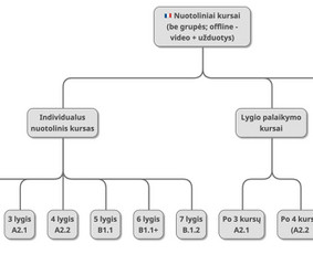 Papildomas prancūzų kalbos mokymas - Prancūzų kalbos korepetitorė - pamokos internetu - 1