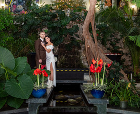 Renginiai, &scaron;ventės - Fotografė Palangoje - 3