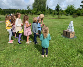 Medinių lauko žaidimų nuoma / MB Margas miškas / Darbų pavyzdys ID 4343623