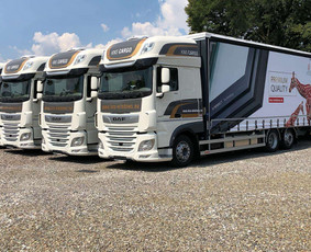 Vidaus apdailos darbai - Langų durų gamyba - 4