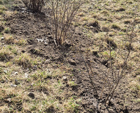 &Scaron;iltnamių surinkimas - Green Sklypai - Sklypu valimas - 3