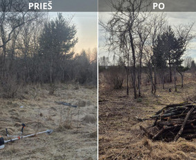 &Scaron;iltnamių surinkimas - Green Sklypai - Sklypu valimas - 1