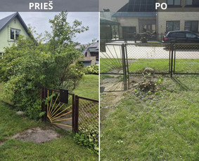 Aplinkos tvarkymas, apželdinimas - Alboristo - 2