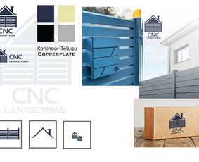 Firminio stiliaus kūrimas - Grafikos dizainas / Visualai / Ugc - 1