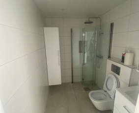 Plytelių klijavimas - Plytelės , dažymas. - 4