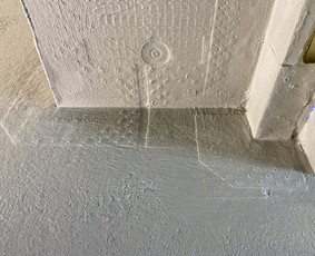 Plytelės , dažymas. / Vakaru statybos & renovacijos MB / Darbų pavyzdys ID 4344307