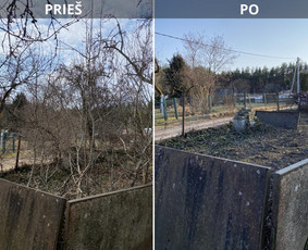 Sklypų tvarkymas: medžių ir krūmų pjovimas su išvežimu. / Albertas Rakuckis / Darbų pavyzdys ID 4344565