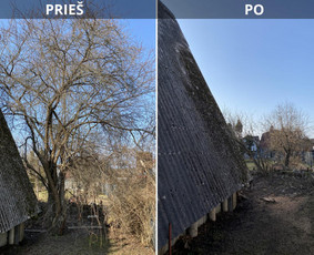 Avarinių medžių pjovimas - Sklypų tvarkymas: medžių ir krūmų pjovimas su i&scaron;vežimu. - 2