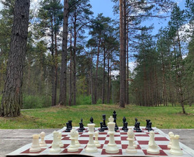 Mokymai, kursai, kalbos - &Scaron;achmatų pamokos - 1