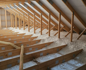 Statybos, apdaila - &Scaron;iltinimas biria vata - 1