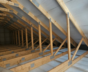 Statybos, apdaila - &Scaron;iltinimas biria vata - 4