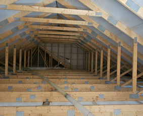 Statybos, apdaila - &Scaron;iltinimas biria vata - 2