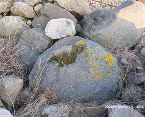 Skalda, smėlis, žvyras, juodžemis - Lauko akmenys - 1