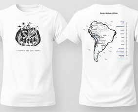 Mar&scaron;kinėlių dizaino kūrimas - Identiteto Architektūra ir vizualinis autoritetas - 1