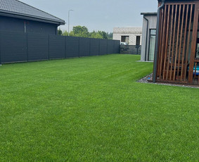 Vejos aeravimas - Vejos priežiūros paslaugos Vilniuje, Trakų rajone - 4