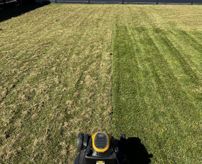 Vejos aeravimas - Vejos priežiūros paslaugos Vilniuje, Trakų rajone - 2