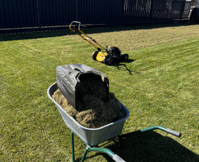 Vejos aeravimas - Vejos priežiūros paslaugos Vilniuje, Trakų rajone - 1
