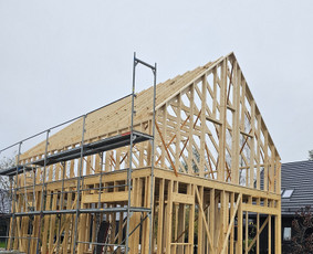 Karkasinių namų statyba - Karkasiniai statiniai, fasadai, stogai ir kiti statybos darb - 3