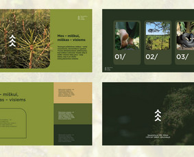 Prezentacijų dizaino kūrimas - Identiteto Architektūra ir vizualinis autoritetas - 1