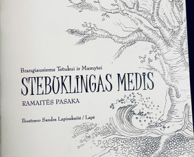 Knygų iliustravimas - Identiteto Architektūra ir vizualinis autoritetas - 2