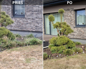 Apželdinimo konsultacija - Sodų/želdynų formavimas, priežiūra ir vystymas - 4