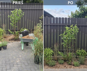 Apželdinimo konsultacija - Sodų/želdynų formavimas, priežiūra ir vystymas - 3