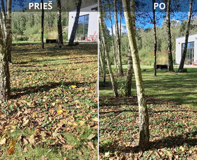 Apželdinimo konsultacija - Sodų/želdynų formavimas, priežiūra ir vystymas - 2