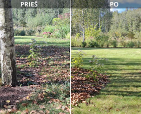 Apželdinimo konsultacija - Sodų/želdynų formavimas, priežiūra ir vystymas - 1