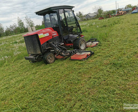 Statybos, apdaila - Žolės pjovimas, mulčiavimas - 4