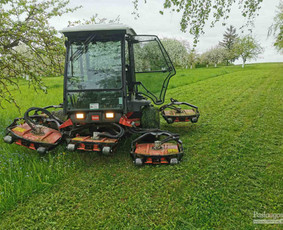 Statybos, apdaila - Žolės pjovimas, mulčiavimas - 1