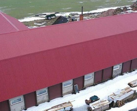 Stogdengiai, stogo darbai - Stogų remontas ir dengimas - 3