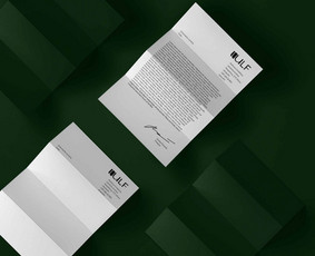 Internetas, IT - Budrytes&reg; Studio - 4