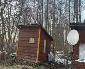 Medžių genėjimas, pjovimas - Medžių pjovimas genėjimas - 2