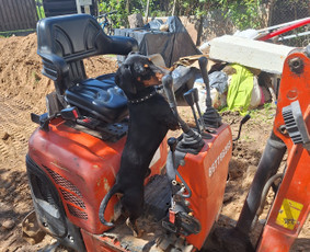 Tran&scaron;ėjų kasimas - Mini ekskavatoriaus nuoma 1t, Bobcat nuoma - 4