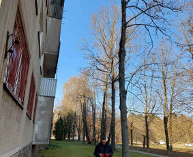 &Scaron;akų smulkinimas - Medžių pjovimas ir genėjimas - 1