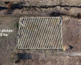 Video reklama - Renginių filmavimas - Drono paslaugos / Rokas Šarauskas / Darbų pavyzdys ID 4348835