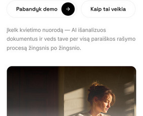 Programuotojai - IT sprendimai verslui - nuo svetainės iki platformos su Ai - 3