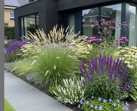 Aplinkos tvarkymas, apželdinimas - Apželdinimo projektai. Apželdinimas - 1