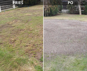 Vejos įrengimas: sėjimas, ruloninė veja - Vejos skarifikavimas aeravimas trę&scaron;imas samanų naikinimas - 3