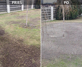 Vejos įrengimas: sėjimas, ruloninė veja - Vejos skarifikavimas aeravimas trę&scaron;imas samanų naikinimas - 2