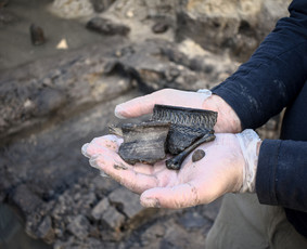 Archeologai - Archeologas, Archeologiniai tyrimai - 3