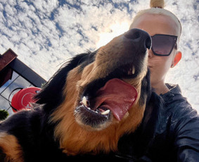 &Scaron;unų vie&scaron;bučiai, vedžiojimas, priežiūra - Naminių gyvūnėlių nakvynė/ pet sitting/ home boarding - 1