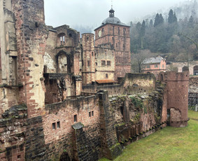 Lietuva > Vokietija - Mikroautobuso Mercedes Benz nuoma su vairuotoju - 3