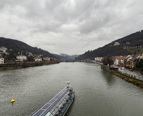 Lietuva > Vokietija - Mikroautobuso Mercedes Benz nuoma su vairuotoju - 1