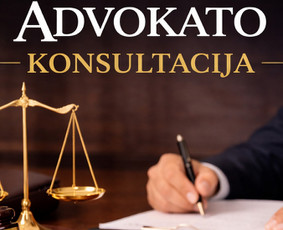 Advokato konsultacija - Advokatas D. Žebelys - teisinės paslaugos (Lawyer / Юрист) - 1