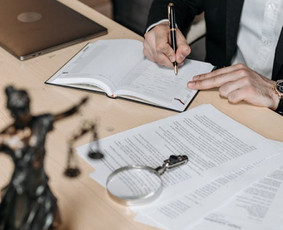 Paslaugos verslui - Advokatas D. Žebelys - teisinės paslaugos (Lawyer / Юрист) - 2