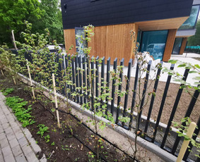 Metalinės tvoros - Tvorų montavimas , vartų gamyba - 2