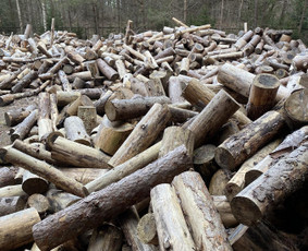 Malkos: gamyba, pristatymas - Parduodami metriniai sausi pu&scaron;ies rastai - 1