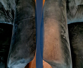 Nuomos paslaugos - Karcher P10/1, P8/1 plaunančio siurblio nuoma - 2