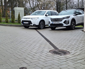 Trinkelių klojimas / Gerardas Šternbergas / Darbų pavyzdys ID 4352187